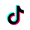 TikTok Icon